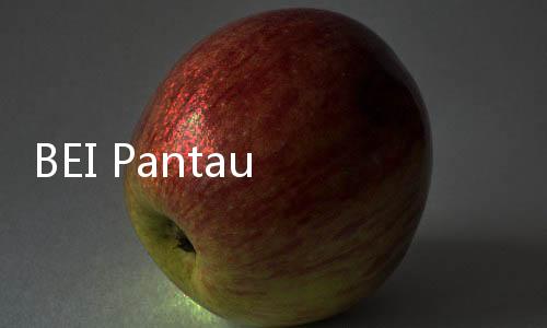 BEI Pantau Ketat Pergerakan Saham PACK, Investor Diminta Hati