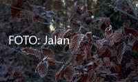 FOTO: Jalan