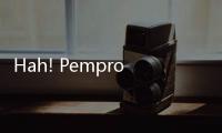 Hah! Pemprov DKI Punya Alat USG Pohon? Gimana Tuh Kerjanya?