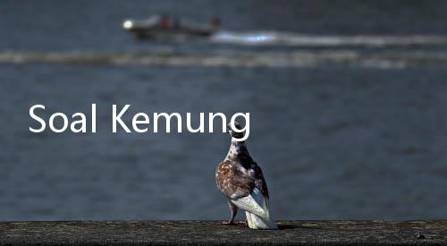 Soal Kemungkinan NasDem Bergabung dengan KIM, Ini Kata Idrus Marham