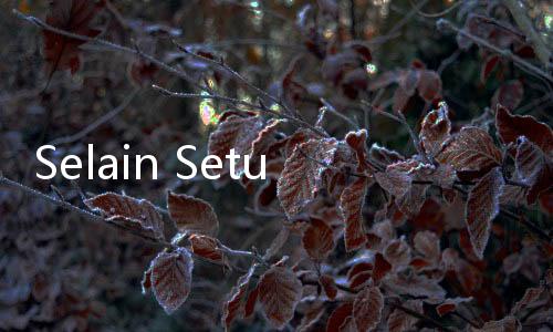 Selain Setubuhi Wanita Dalam Koper, Pelaku Ambil Uang Korban Puluhan Juta