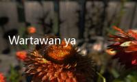 Wartawan yang Bawa Papa Novanto Jadi Tersangka