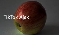 TikTok Ajak Pengguna dan Masyarakat Lawan Misinformasi Jelang Pemilu